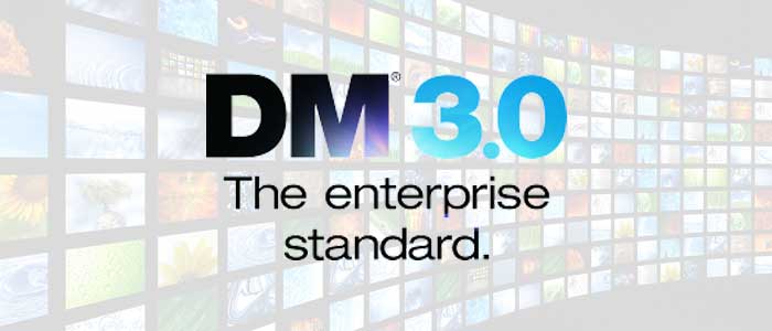 DM_enterprise_standard